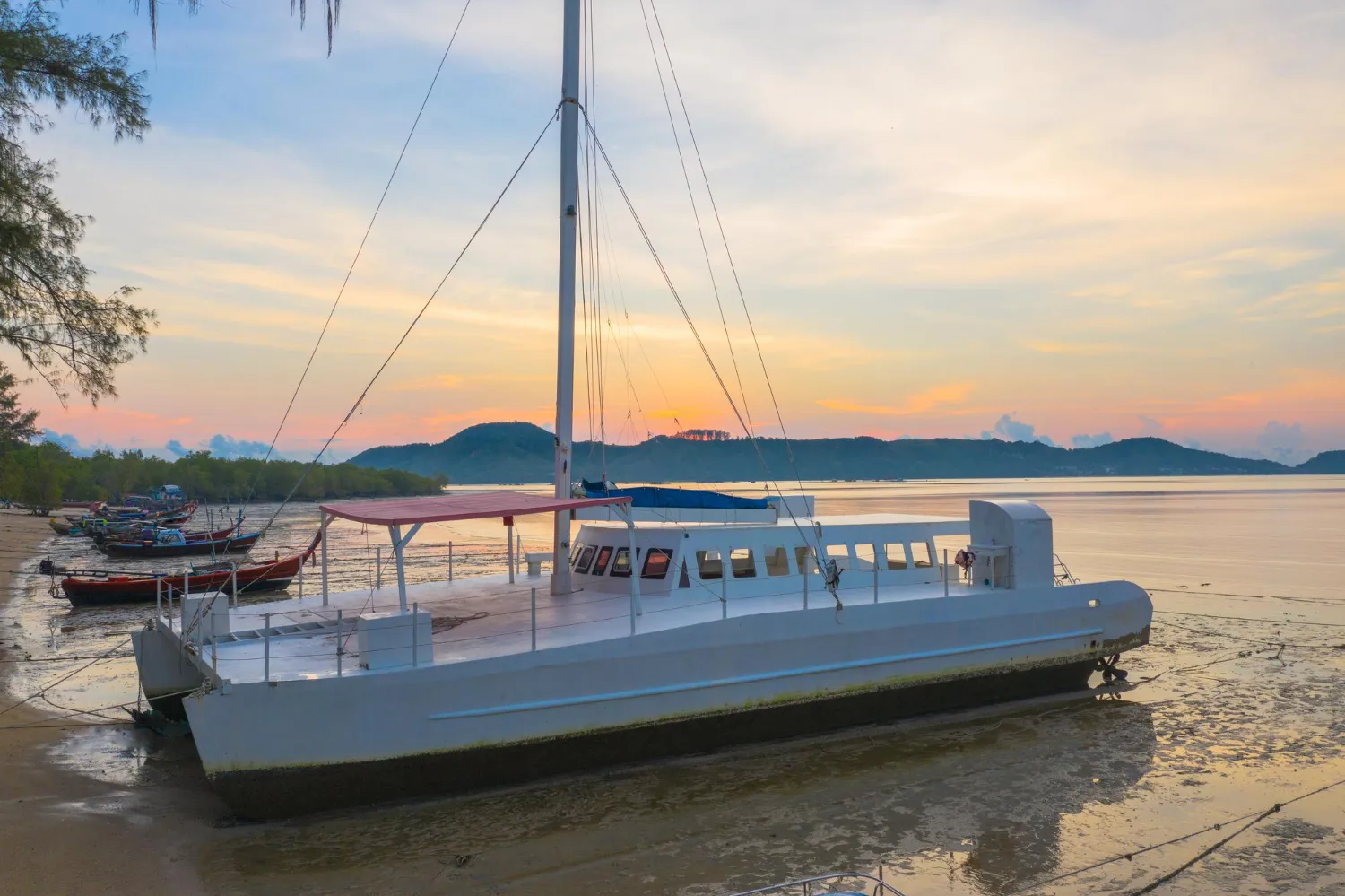 Why Lagoon Catamarans Are in Demand